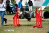 Professional Photographer Cape Town