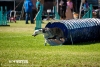 soft-focus_event-photography_0195