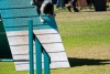 soft-focus_event-photography_0214