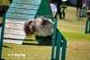 soft-focus_event-photography_0217