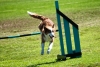 soft-focus_event-photography_0232