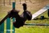 soft-focus_event-photography_0234