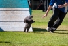 soft-focus_event-photography_0251