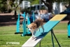 soft-focus_event-photography_0257