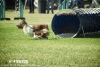 soft-focus_event-photography_0265