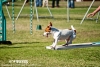 soft-focus_event-photography_0307