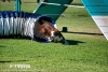 soft-focus_event-photography_0349