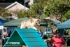 soft-focus_event-photography_0353