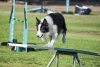 soft-focus_event-photography_0358