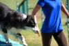 soft-focus_event-photography_0360