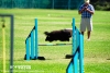 soft-focus_event-photography_0369